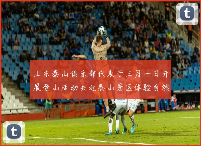 山东泰山俱乐部代表于三月一日开展登山活动共赴泰山景区体验自然之美