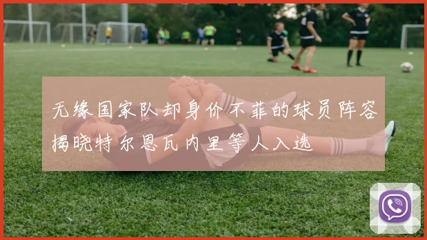 无缘国家队却身价不菲的球员阵容揭晓特尔恩瓦内里等人入选