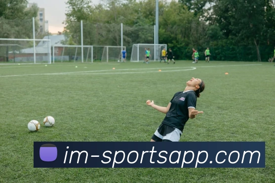 IM足球体育品牌故事