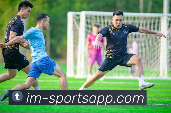 IM足球体育服务体系