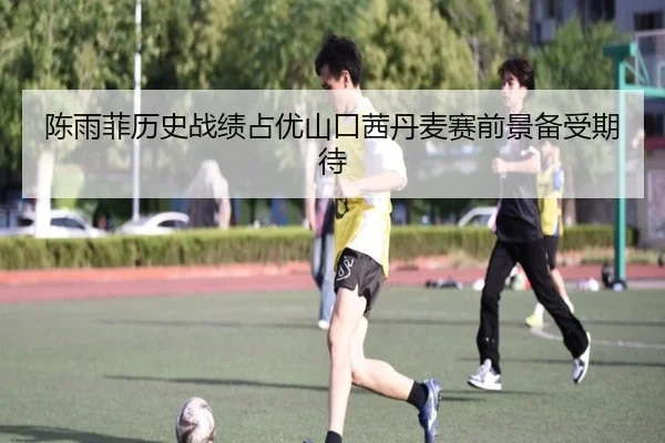 陈雨菲历史战绩占优山口茜丹麦赛前景备受期待 - IMSPORTS